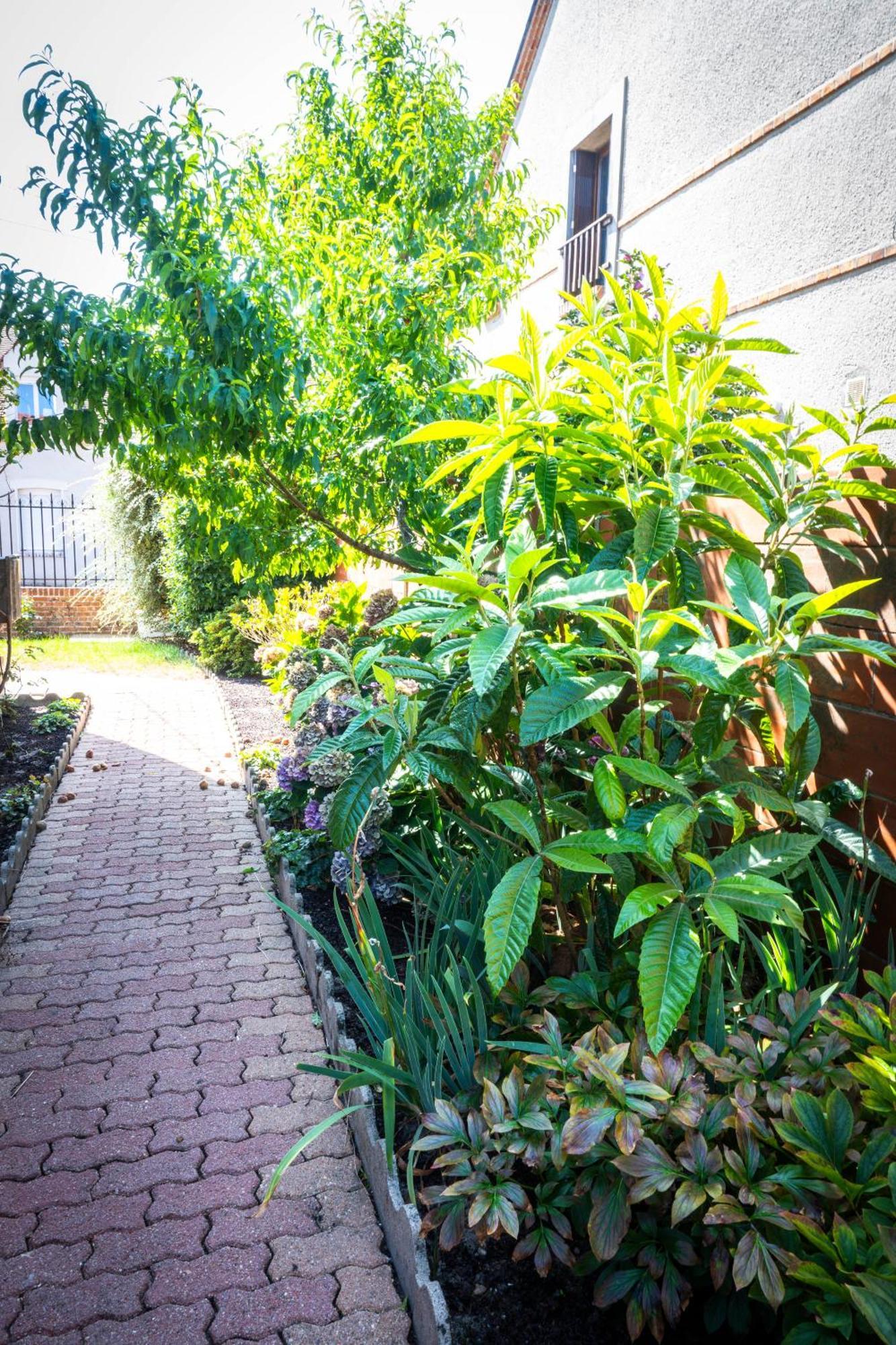 "Le 35" Maison Renovee Avec Jardin Proche Centre Lamotte-Beuvron Buitenkant foto